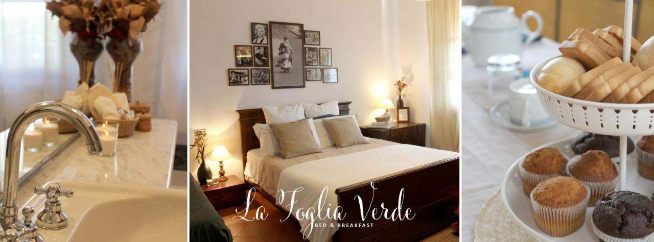 B&B La Foglia Verde Massa  Luaran gambar
