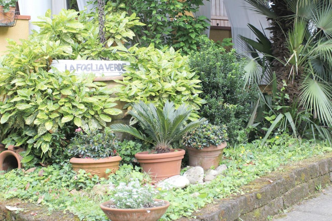B&B La Foglia Verde Massa  Luaran gambar