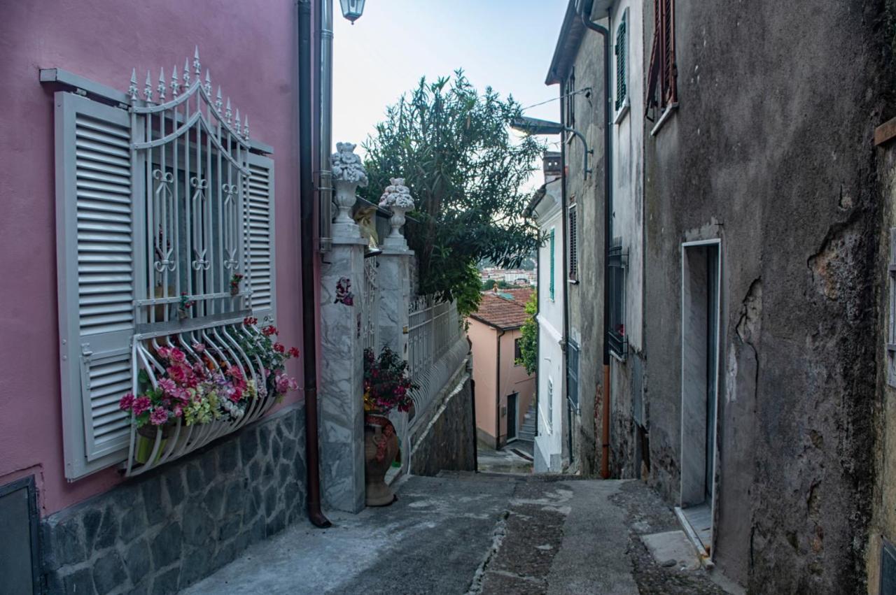 B&B La Foglia Verde Massa  Luaran gambar